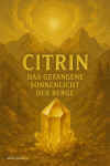 CITRIN2.jpg (856889 Byte)
